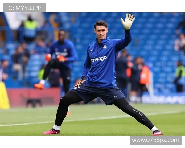 布莱顿对西布朗比赛前瞻及胜负预测分析详解