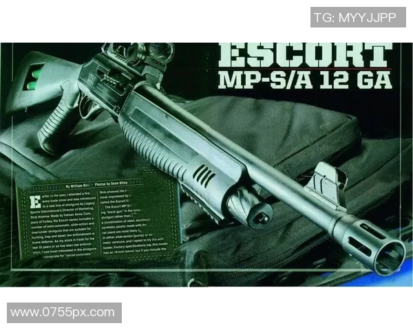 重庆极限运动队独特盯防策略深度解析与战术应用探讨